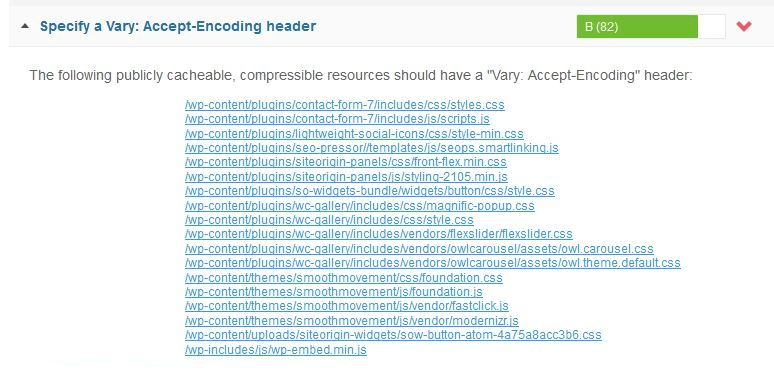 Vary: User-Agent Wordpress,,